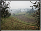 foto Colline di Romano d'Ezzelino nella Nebbia